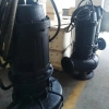 Industrial building site chokeless pump sewage pump electro-submersible effluent pump