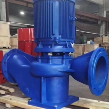 Industrial building site factory vertical pipeline mounted pump centrifugal pump