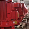 Industrial building site factory vertical pipeline mounted pump centrifugal pump