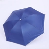 auto open and close sunshade umbrella wholesale cusomiztion logo foldable  umbrella Color 7 Rip