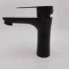 EUrope style black baking finish 304 stainless steel lavatory basin faucet