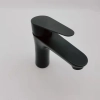 EUrope style black baking finish 304 stainless steel lavatory basin faucet